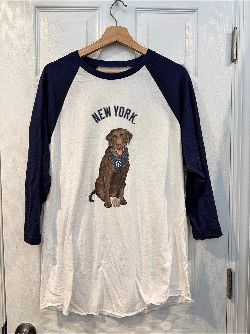 NWT TT Gear by Tiny Turnip New York Yankees Chocolate Labrador Raglan Tee